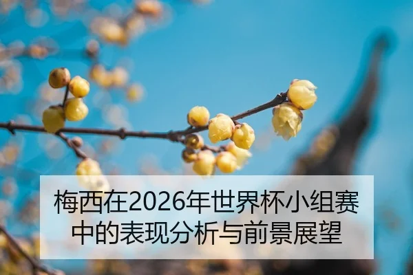 mei-xi-zai-nian-shi-jie-bei-xiao-zu-sai-zhong-de-biao-xian-fen-xi-yu-qian-jing-zhan-wang-2-952.jpg