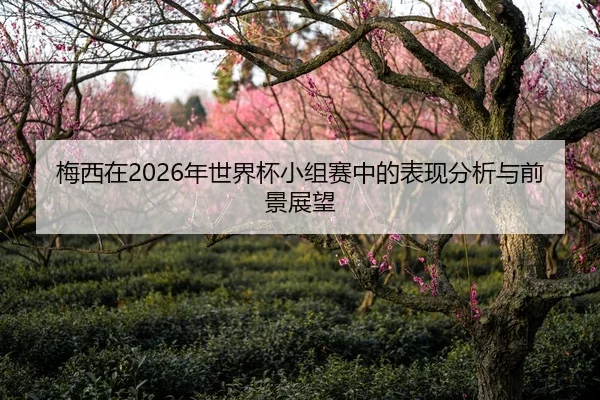 梅西在2026年世界杯小组赛中的表现分析与前景展望