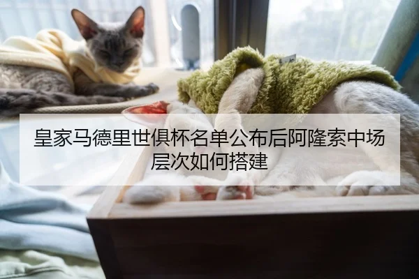 皇家马德里世俱杯名单公布后阿隆索中场层次如何搭建