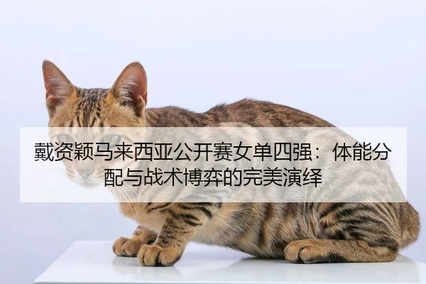dai-zi-ying-ma-lai-xi-ya-gong-kai-sai-nv-dan-si-qiang-ti-neng-fen-pei-yu-zhan-shu-bo-yi-de-wan-mei-yan-yi-2-587.jpg
